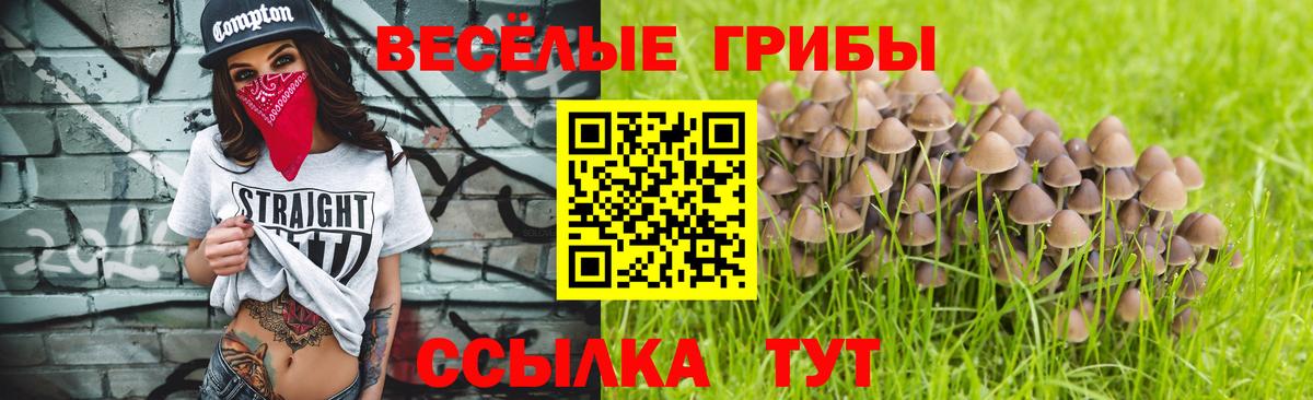Оренбург  Псилоцибиновые грибы прущие грибы  Вход с VPN  Галлюциногенные грибы Psilocybine cubensis 
